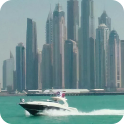 SKYLINE 6